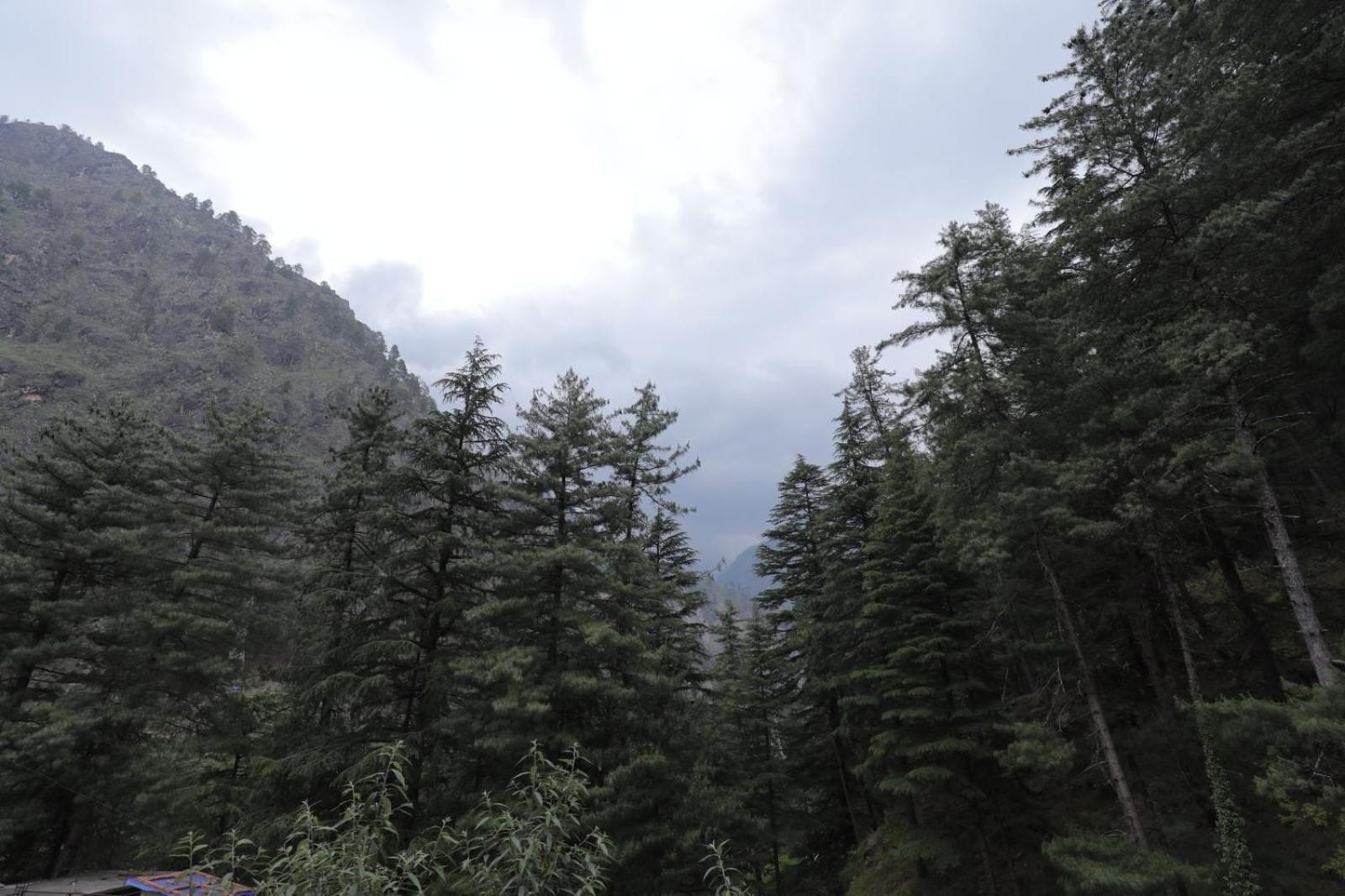 Shangri-La Rooms & Restaurant Kasol Buitenkant foto